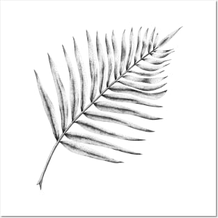 Fern Palm Leaf Black&White Posters and Art